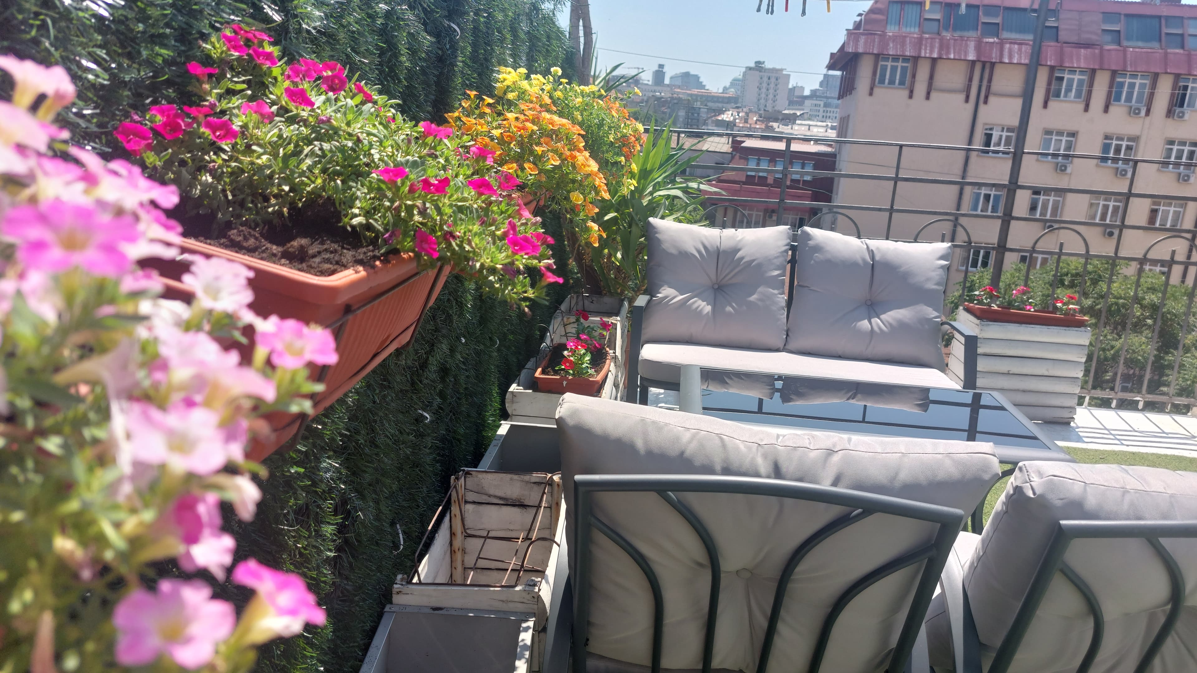 Sunlit terrace moment at Hostel Downtown Inn